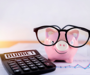 calculator saying budget with piggy bank wearing glasses